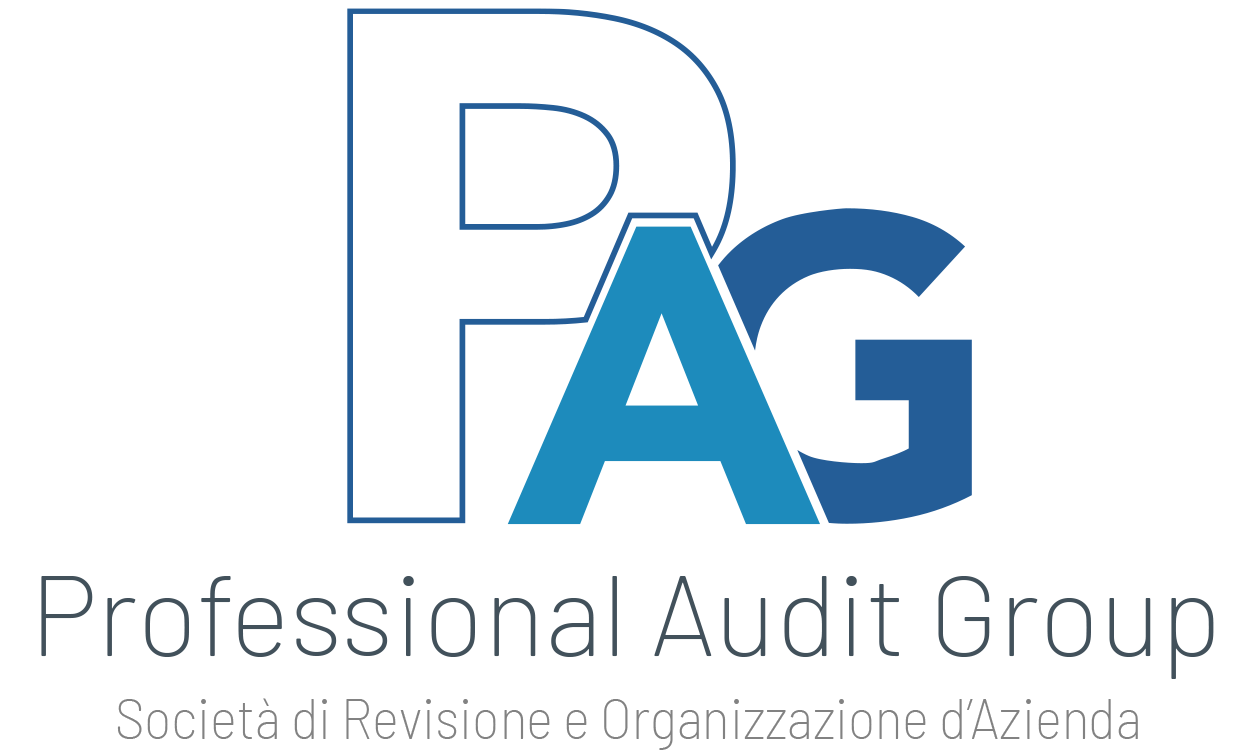 logo-box-professional-audit-group